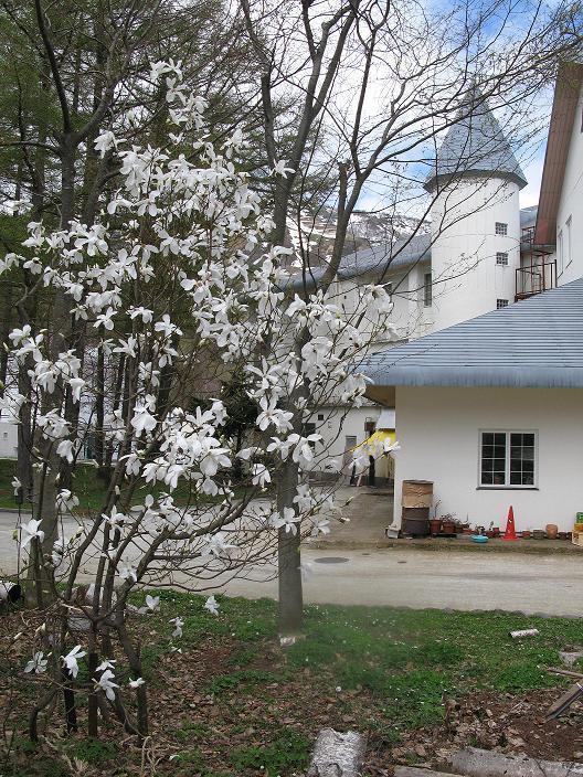 Grindelwald Hotel Yuzawa  Esterno foto